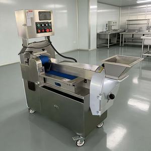 <span class=keywords><strong>Coupe</strong></span>-légumes professionnel multifonctionnel pour la transformation alimentaire industrielle, haute capacité, fonctionnement automatique - Product Image 1