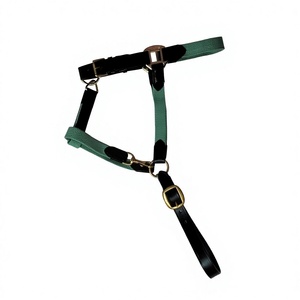 Licol pour cheval à bas prix avec longe assortie et mousqueton à boutonnière, disponible chez le fabricant d'équipement équestre en Inde, boutique en ligne de matériel équestre Kanpur - Product Image 5