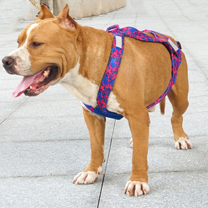 調節可能な屋外ネオプレンパッド入りプルなし大型犬用ハーネスそり犬用トレーニングハーネス、アラスカマラミュート & シベリアンハスク用 - Product Image 4