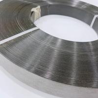Bandes de fibre de verre noires pour la fabrication d'arc et de flèches en époxy, tir à l'arc, chasse, 0,6/0,8/1/1,2/1,3/1,5 mm, fibre de verre S