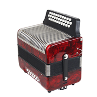 Professional Factory Red Color Grey Color 31 Button 12 Bass Diatonic Button Accordion