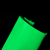 Vinilo Fotoluminiscente Autoadhesivo PET, Película Luminosa que Brilla en la Oscuridad, Adhesivo de Salida, Imprimible, Irrompible, para Advertencias de Seguridad