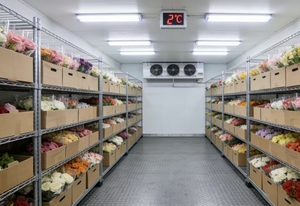 Chambre froide de 20 pieds pour supermarché, fleuriste, cave à bière, avec panneaux de 150 mm pour stockage et présentation - Product Image 4