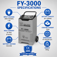 Chargeur de batterie automobile professionnel 12V 24V, charge de plusieurs batteries pour camions lourds et véhicules avec fonction de démarrage d'urgence