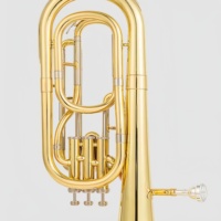 Alto Horn Eb Key 3 Upright Pistons Gold Lacquer Finish Brass Instruments with Stainless Steel Pistons for Beginners and Band