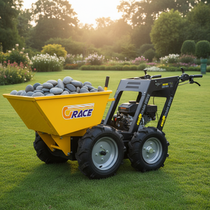 Livraison Gratuite Promotion Chariot à Double Roue Mini Économique EPA CE EUR5 Chariot à Main Haute Capacité pour l'Agriculture et le Transport d'Engrais - Product Image 1