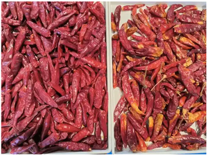 Hefei เครื่องแยกพริกสดสีแดงสีเขียวสดอัตโนมัติจากประเทศจีนเครื่องคัดแยกแบบออปติคอล - Product Image 4