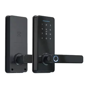 Car Smart Key Wifi Intelligent Electronic Security Door Lock Fingerprint Lock With Remote Control App For Residence Office