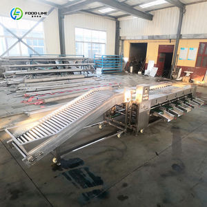 Mantar limon ananas ve çilek meyve sıralama makinesi - Product Image 6