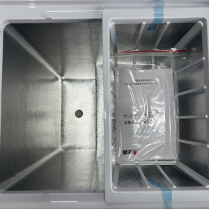 Nouveau modèle 2025 Congélateur coffre horizontal blanc 72L, alimentation automatique, dimensions d'emballage, prix usine, usage commercial, domestique et hôtelier - Product Image 5