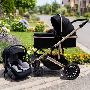 Poussette bébé 3-<span class=keywords><strong>en</strong></span>-<span class=keywords><strong>1</strong></span> avec modes de glissement réversibles, cadre <span class=keywords><strong>en</strong></span> alliage d'aluminium, pliage <span class=keywords><strong>en</strong></span> un clic, ensemble poussette bébé 3-<span class=keywords><strong>en</strong></span>-<span class=keywords><strong>1</strong></span> - Product Image 2