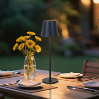 Lampe de table LED USB transfrontalière avec contrôle tactile de style européen et américain, batterie incluse - Design de luxe de haute qualité