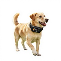 Collier de suivi GPS pour animaux de compagnie, clôture électronique, anti-perte, collier d'entraînement intelligent pour chien, positionnement en temps réel, modèle 550