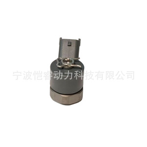 Válvula solenoide de inyector Common Rail F00VC30319 para el sistema de inyección de combustible del motor diésel 0445110165 0445110244 - Product Image 2