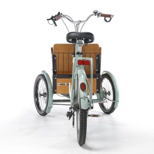Vélo <span class=keywords><strong>cargo</strong></span> électrique familial à trois roues Holland pour mère et bébé, vélo <span class=keywords><strong>cargo</strong></span> électrique à trois roues pour enfants et animaux de compagnie - Product Image 3