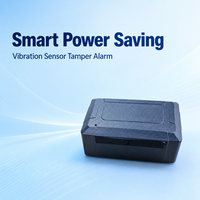 Traceur GPS Mini Discret pour Véhicule, Localisation en Temps Réel 4G LTE Cat1, Charge Sans Fil, Prise en Charge BDS GLONASS WiFi LBS, Vente en Gros