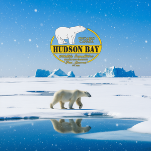 T-shirt Hudson Bay Wildlife Expedition, design ours polaire, Ontario, Canada, noir - Product Image 3