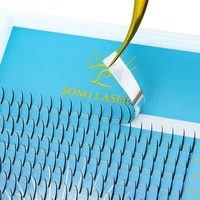 Private Label Ventilateurs individuels préfabriqués plus longs 0.07mm Wispy Spikes Lashes