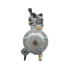 Máy phát điện 602-174 JINGE nhiên liệu kép LPG 168FB Gx160, động cơ bơm nước xăng, chuyển đổi tự động, 196CC, 2.5kw-4kw - Product Image 5