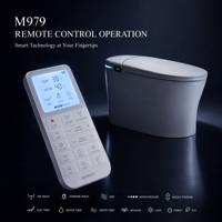 WC intelligent monobloc en céramique avec bidet intégré pour salle de bain, ensemble de sanitaires pour projets hôteliers