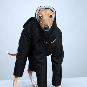 Combinaison pour chien faite à la main, super chaude, de haute qualité, imperméable, vêtements d'hiver pour chien, vêtements d'hiver pour lévrier italien - Product Image 4