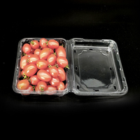 Vente en gros de Fruits et légumes transparents jetables, boîte alimentaire en plastique avec couvercle, cadeau de Fruits et fraises pour animaux de compagnie