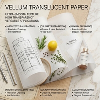 Papel Vellum Translúcido de 70 g/m² al por Mayor para Dibujo, Arquitectura, Diseño Gráfico, Bocetos y Superposición