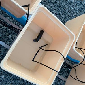 Secchio olandese all'ingrosso della fabbrica <span class=keywords><strong>Bato</strong></span> per il sistema di coltivazione idroponica - Product Image 4