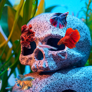 Stenen <span class=keywords><strong>Aquarium</strong></span> Visbak Landschapsarchitectuur Decoratie Paars Zand Vis Garnalen Schuilhuis - Product Image 1