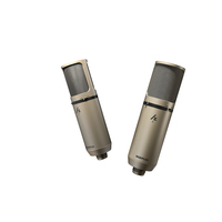 Micrófono de Condensador Profesional para Estudio Midiplus Hz9, Micrófono de Grabación XLR con Diafragma Grande de 34 mm para Voces y Instrumentos Profesionales