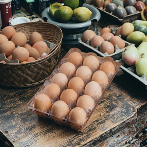 Récipient d'affichage de plateau à 15 oeufs respectueux de l'environnement Matériau PET recyclé sécurisé pour la ferme de <span class=keywords><strong>pâturage</strong></span> familial et l'industrie alimentaire à usage industriel - Product Image 2