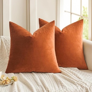 Housse de <span class=keywords><strong>coussin</strong></span> décorative en velours 50x50cm <span class=keywords><strong>coussin</strong></span> doux pour canapé-<span class=keywords><strong>lit</strong></span> chaise noël Halloween décor - Product Image 1