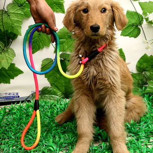 Dayanıklı gökkuşağı köpek kayma halat tasma Premium kalite dağ tırmanışı kurşun ayarlanabilir döngü kayma kurşun naylon köpek oyuncağı tasma - Product Image 6