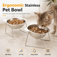 Bol surélevé pour chats et petits chiens en acier inoxydable 304, incliné à 15 degrés, avec logo personnalisé en couleur