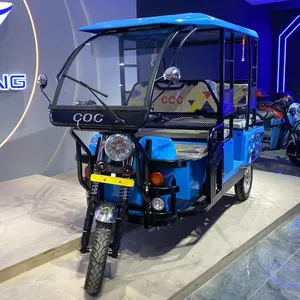 Triciclo eléctrico para adultos, Rickshaw automático de 3 ruedas, 48V, 1000W, a precio bajo, funciona con batería, nuevo