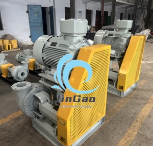 مضخة طين من النوع الأفقي/الرأسي 4x13 لمهمة البعثة مضخة طرد مركزي xum Magnum - Product Image 5