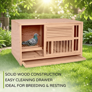 Overdekte en buiten houten duivennestkast met verwijderbare lade voor kweek en paren - Product Image 4