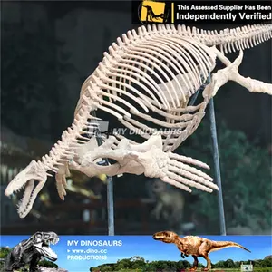 내 디노 고대 공룡 화석 해골 Mosasaurus