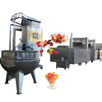 Boîte de production de bonbons, gelée d'enveloppement de sucre à la vitamine automatique, moule gomme ours, gelée de fabrication de bonbons, ligne de production