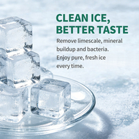 Nouveautés : Nettoyant liquide pour machine à glace 1L, détergent pour machines à glace commerciales