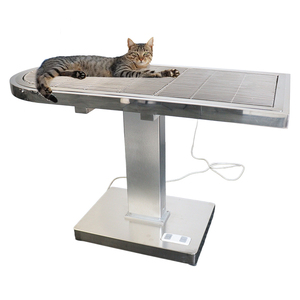 IN-PL04 Veterinary Diagnosis <b>Table</b>-entirely Stainless Steel Multifunctional For <b>Dog</b> Use Veterinary Clinics - Product Image 1