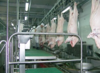 Nouvelle machine d'abattage de porcs en acier inoxydable à haute efficacité et haute productivité pour l'abattage de porcs