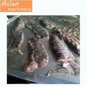 Tilapia Mossambica Mesin Pemotong Irisan/Mesin Pengiris Fillet Tipis Ikan/Mesin Pemotong Pengiris Ikan Herring Oblique