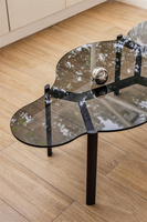 Combinaison table basse minimaliste en verre nuage de luxe léger pour appartement salon tables basses en acier inoxydable