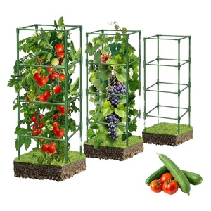 Medidor de pH y TDS Moderno con Revestimiento Plástico, Alta Precisión, para Acuarios, Sistemas de Ósmosis Inversa, Laboratorios y Jardines - Product Image 2