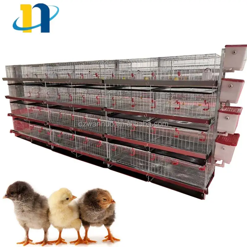 South africa kenya poultry farm design home use egg layer automatic broiler chicken breeding cage for baby chicks