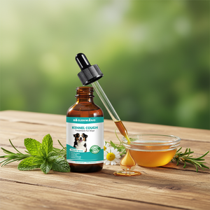 Comprimés de vitamines pour animaux de compagnie OEM, compléments nutritionnels pour chats et chiens - Produits de santé multidimensionnels spéciaux, personnalisation OEM - Product Image 1