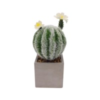 Tizen Faux Plantes Plante Artificielle En Pot Petit Désert Cactus Artificiel Simulé Plantes Vertes