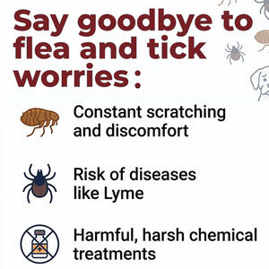 Bocconcini Morbidi Antiparassitari per <span class=keywords><strong>Cani</strong></span> con MOQ Ridotto - Trattamento <span class=keywords><strong>Antipulci</strong></span> e Integratore per il Supporto Immunitario - Product Image 2