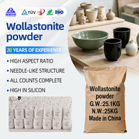 Poudre de Wollastonite pour la Fabrication du Papier - Remplissage Fonctionnel - Renforcement des Fibres - Faible Abrasion - Industrie du Papier